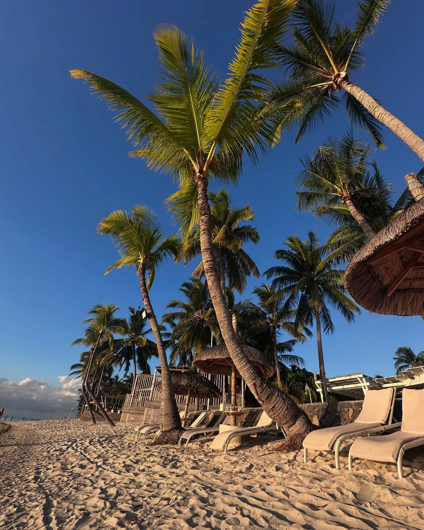 Paula Karpowicz-Zimecka zachwyca na Mauritiusie! Zobaczcie, jak wygląda w czarnym kostiumie